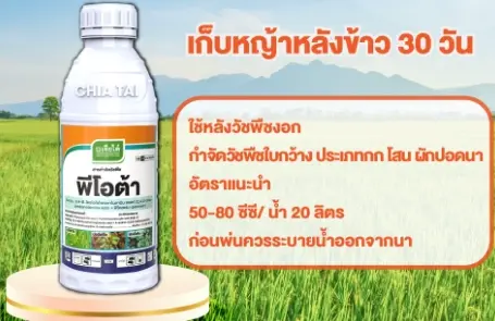 พีโอต้า