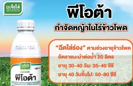 กำจัดหญ้า