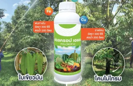 ฟอลครอป