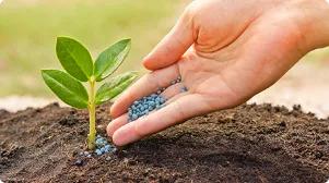 ธุรกิจปุ๋ย