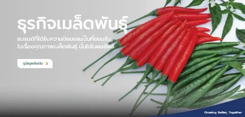 สินค้าเมล็ดพันธุ์