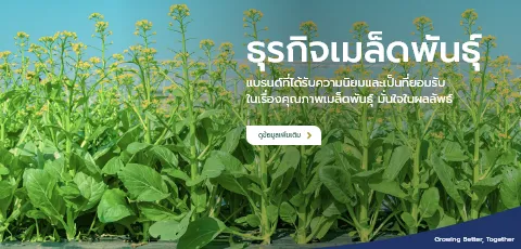 สินค้าเมล็ดพันธุ์