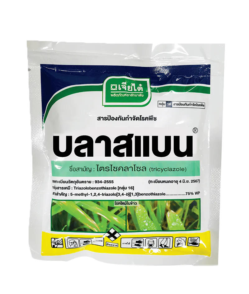 บลาสแบน, เจียไต๋, อารักขาพืชเจียไต๋