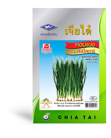 หอมแบ่ง มันนี่สตาร์