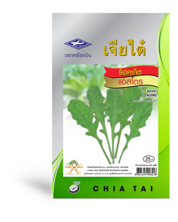 ร็อคเก็ต แอสโตร