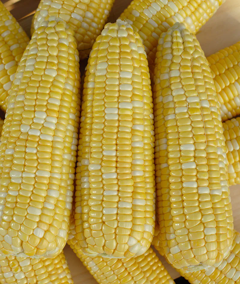 ข้าวโพด