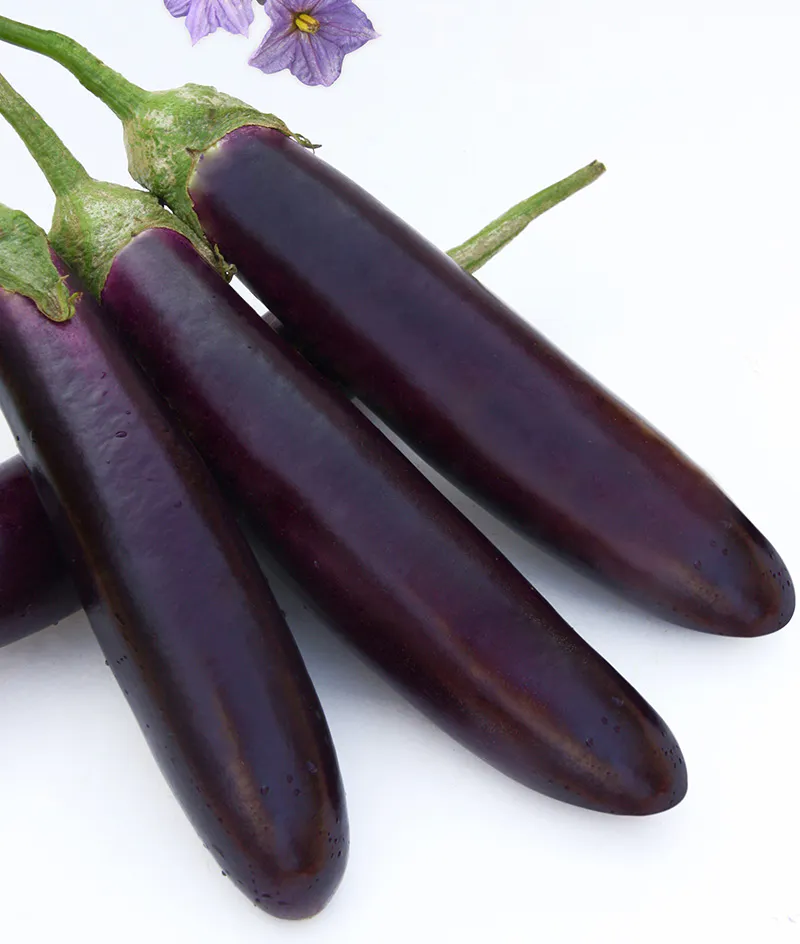 Eggplant