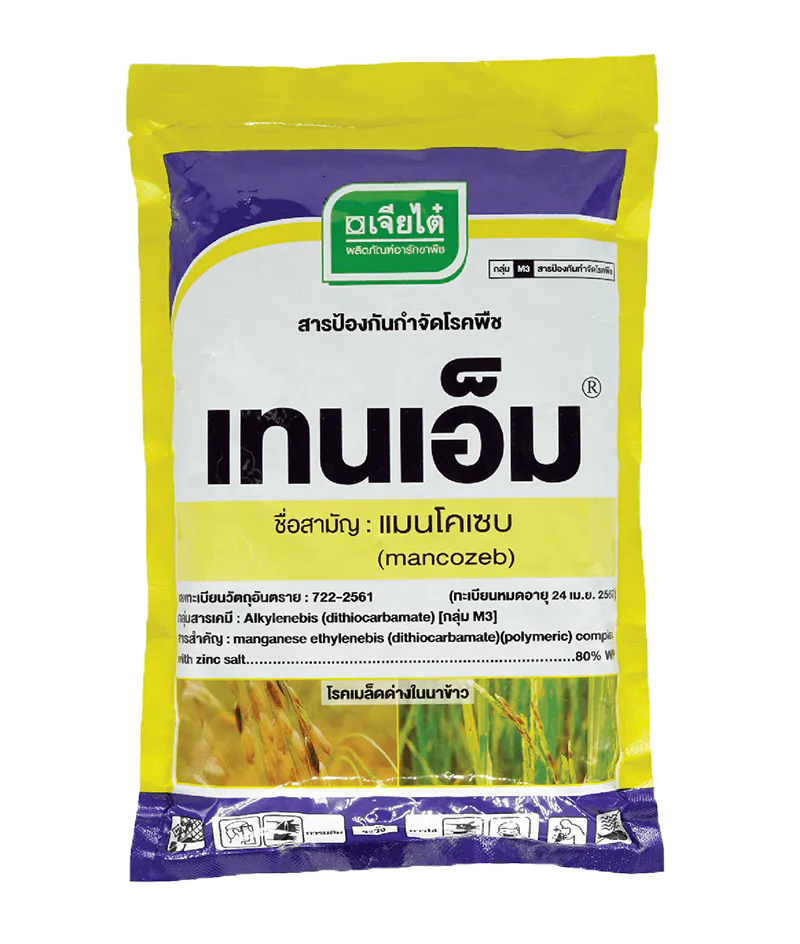 เทนเอ็ม, เจียไต๋, อารักขาพืชเจียไต๋