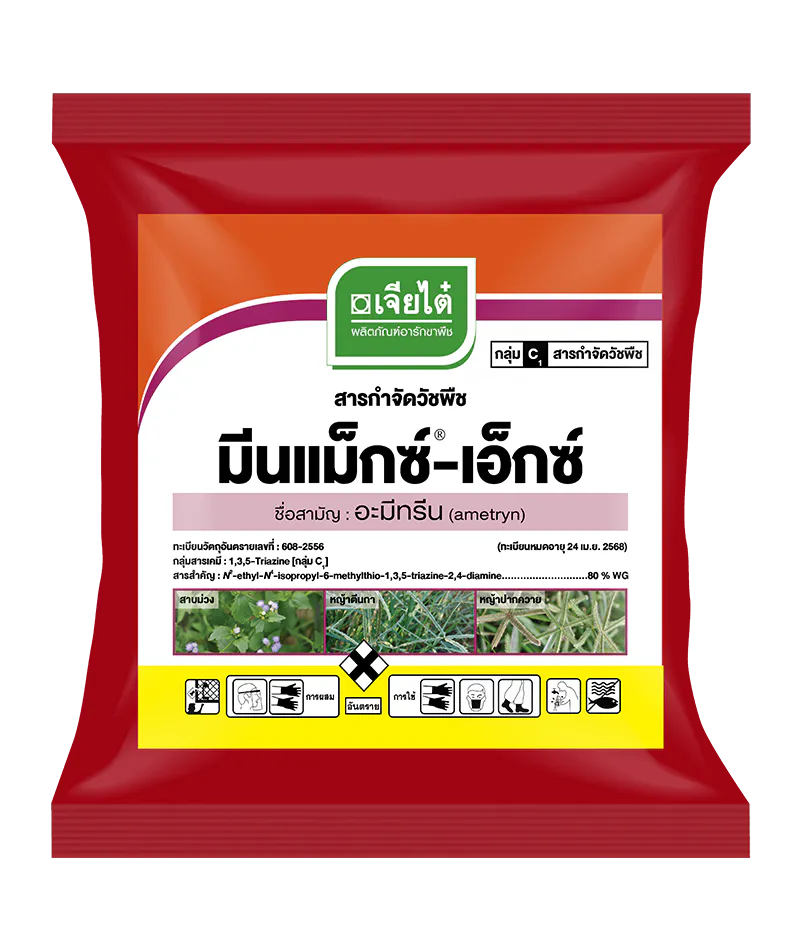 มีนแม็กซ์-เอ็กซ์