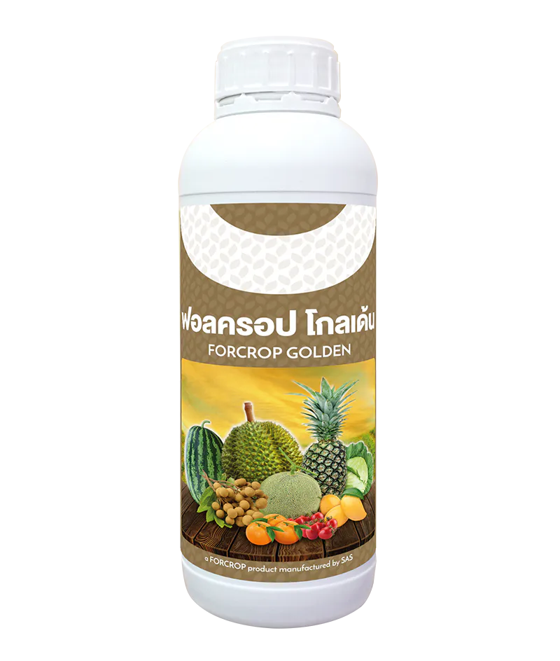 ฟอลครอป โกลเด้น, เจียไต๋, อารักขาพืชเจียไต๋