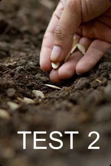 Section Banner ธุรกิจผลสดและร้านอาหาร-B