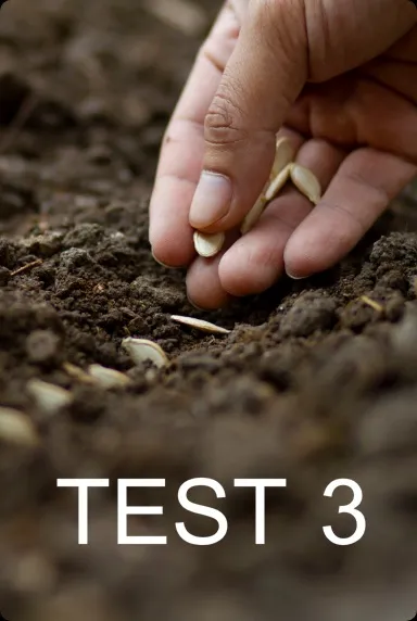 Section Banner ธุรกิจผลสดและร้านอาหาร-C