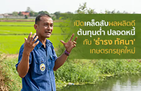 เปิดเคล็ดลับผลผลิตดี ต้นทุนต่ำ ปลอดหนี้