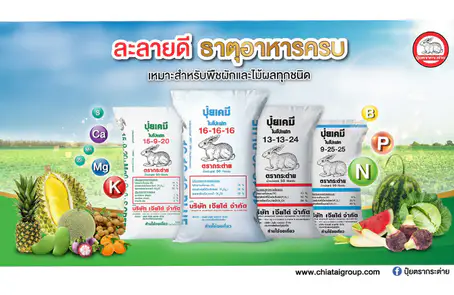 ปุ๋ยตรากระต่าย สำหรับพืชผักและไม้ผล