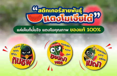 การันตีแตงโมเกรดเอด้วยสติกเกอร์แตงโมเจียไต๋