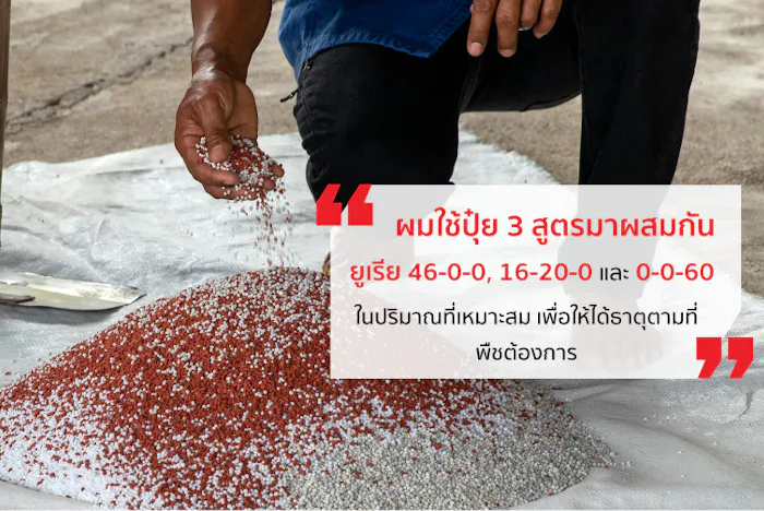 การใช้ปุ๋ย