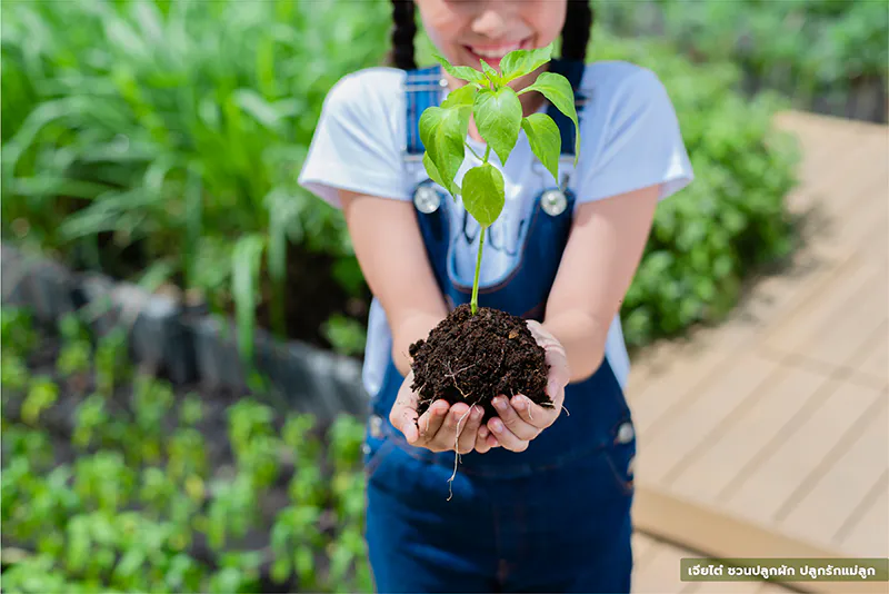 เจียไต๋ ชวนปลูกผัก ปลูกรักแม่ลูก