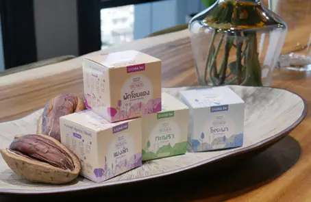 เจียไต๋เปิดตัวผลิตภัณฑ์ชุดสนุกปลูกไมโครกรีน