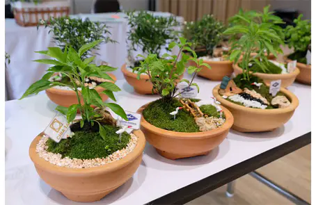 เจียไต๋เอาใจสายกรีน แนะนำไอเดียของขวัญปีใหม่ DIY จากพีทมอส