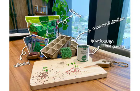 เจียไต๋ส่งชุดปลูกผักปลอดภัย-Farm-From-Home