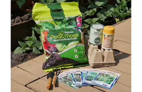 เจียไต๋ ชวนปลูกผักอยู่บ้านด้วยชุด Farm From Home