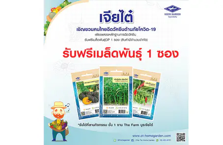 เจียไต๋หนุนคนไทยฉีดวัคซีนป้องกันโควิด-19 รับฟรีเมล็ดพันธุ์ ท
