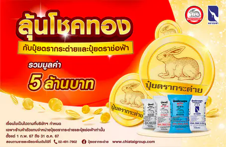 ลุ้นโชคทองกับปุ๋ยตรากระต่ายและปุ๋ยตราช่อฟ้า
